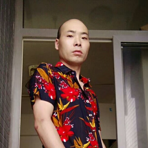 仙人掌阔达的照片