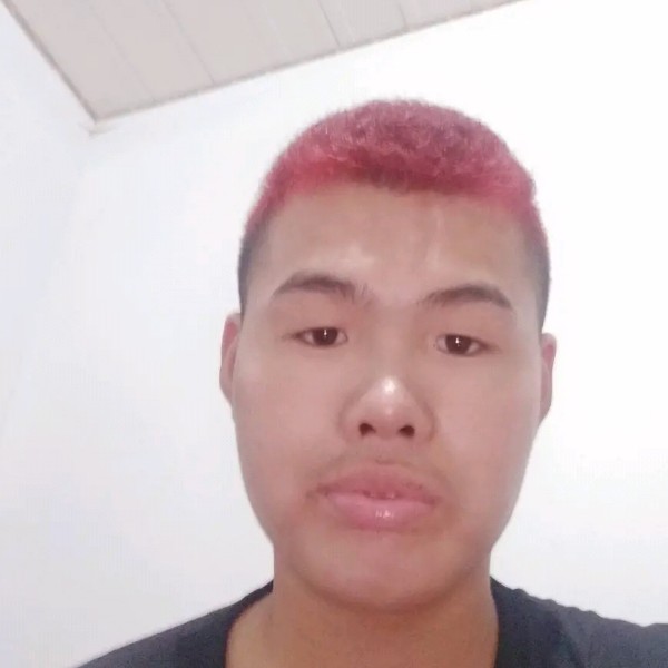 龙哥再苦再累也要的照片