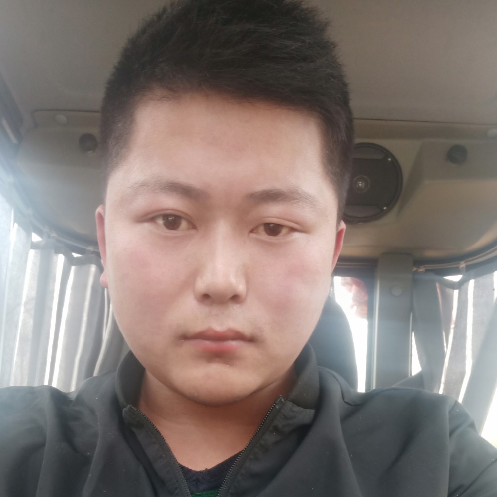 大雁忧郁的照片