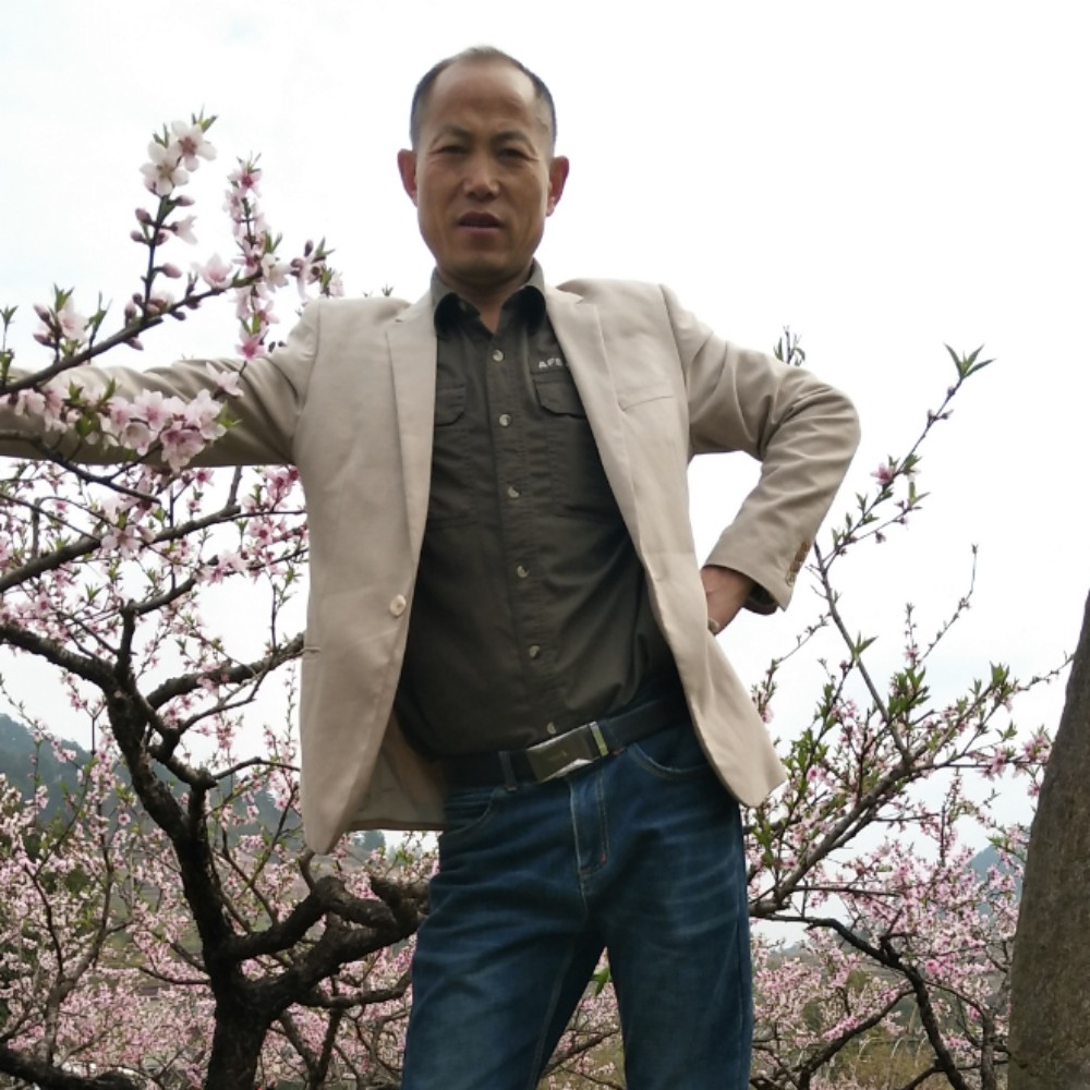 会员308959472的照片