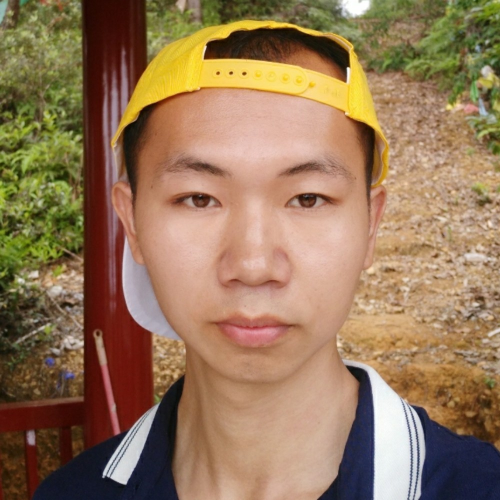 痴情母鸡的照片