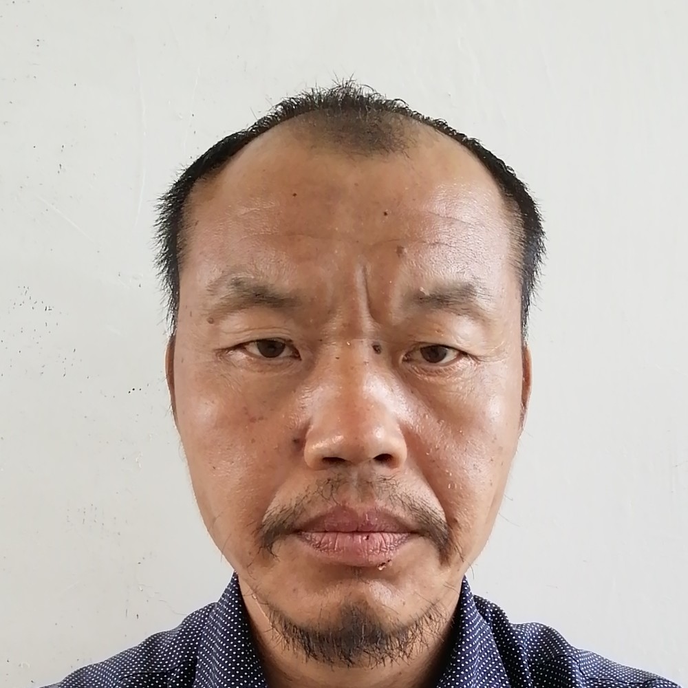铁豹的照片