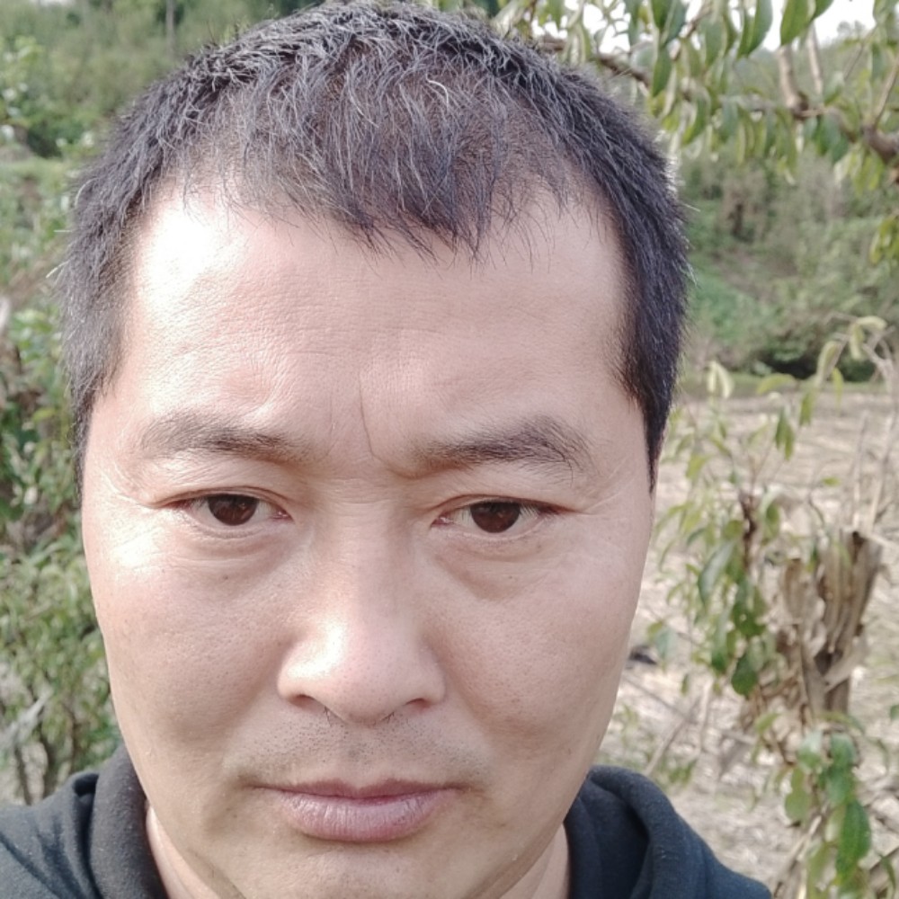 超级画板的照片
