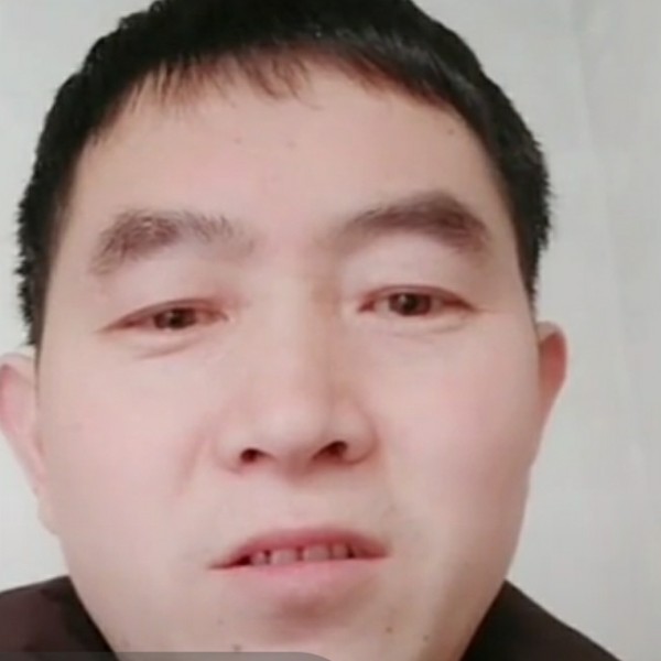 飞鸟迎过时的照片