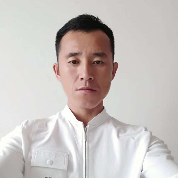 蜜蜂凝眸沉默的照片