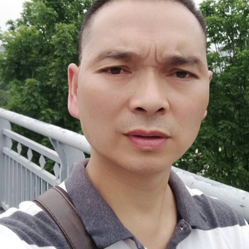 琴棋书画，简单生的照片