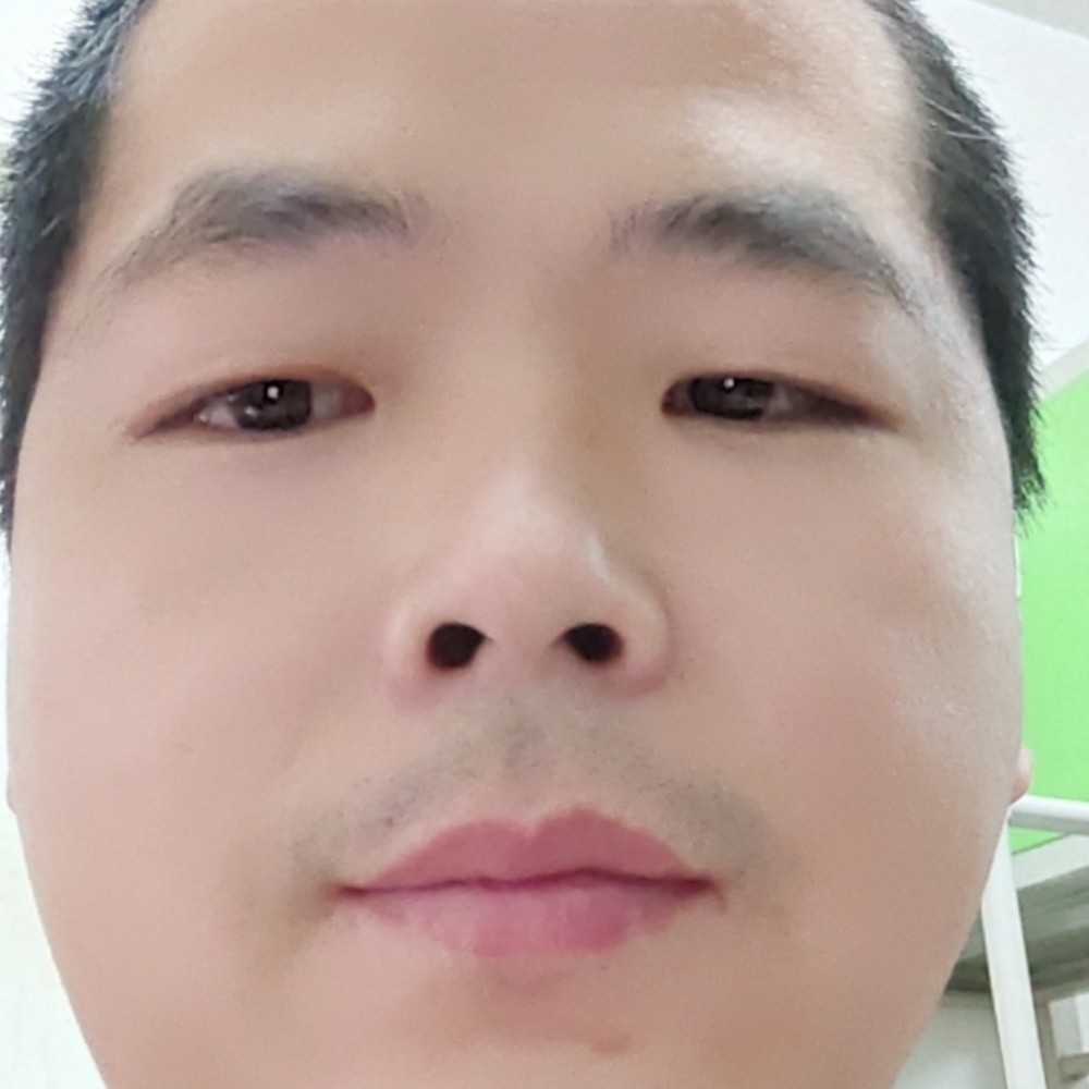 美好向黄蜂的照片