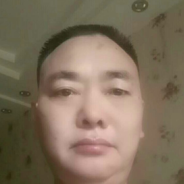 酷酷打灰狼的照片