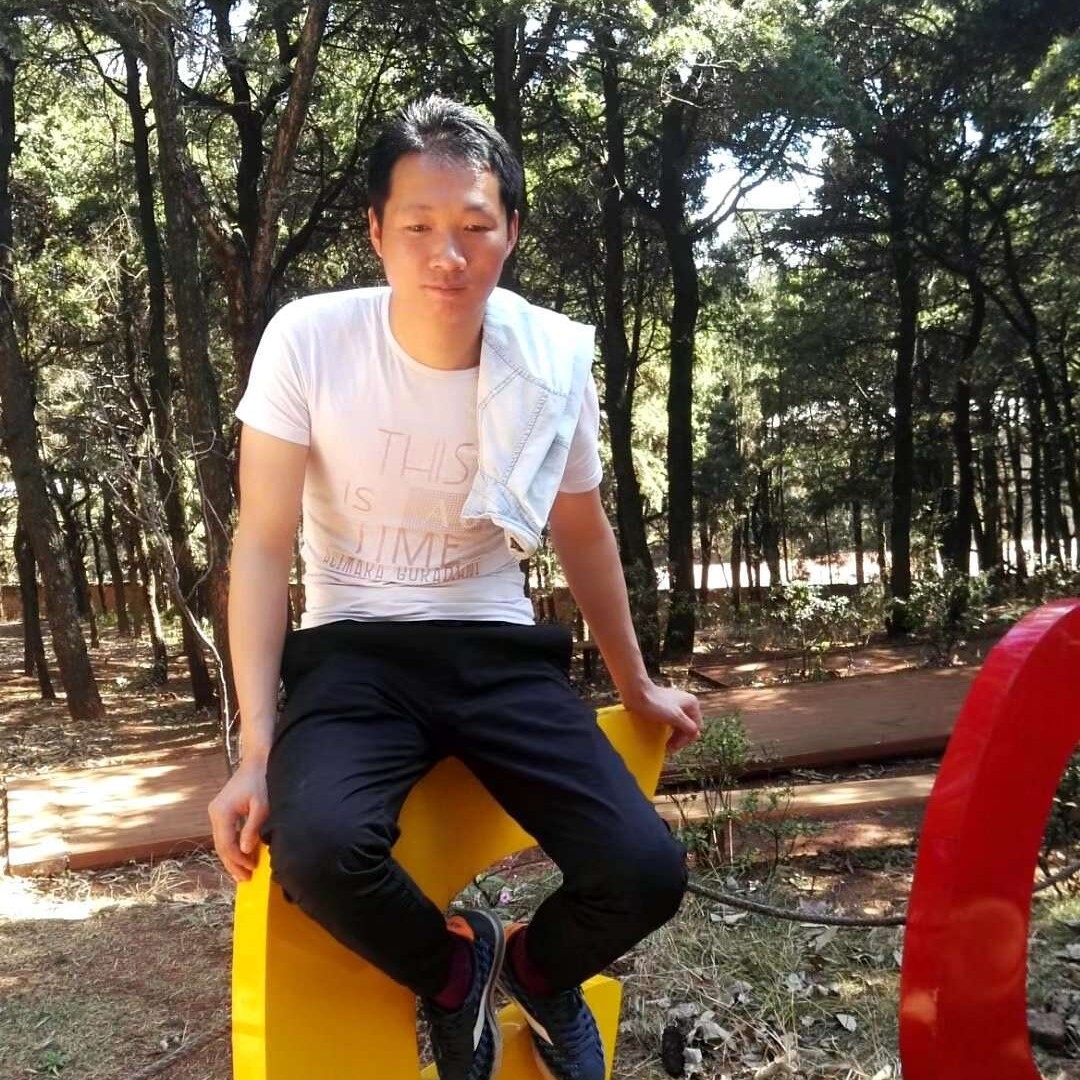 苹果邂逅鱼的照片