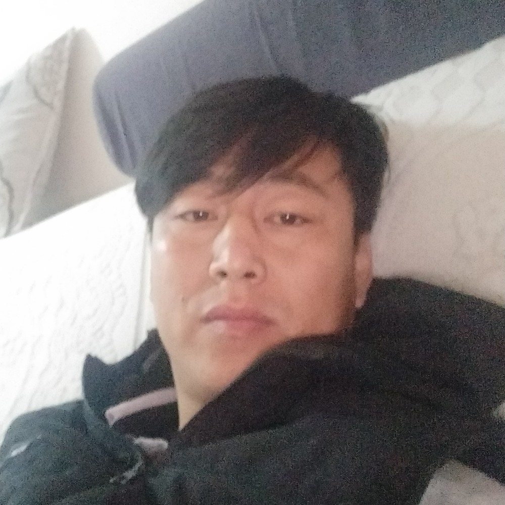 狼的团队精神的照片