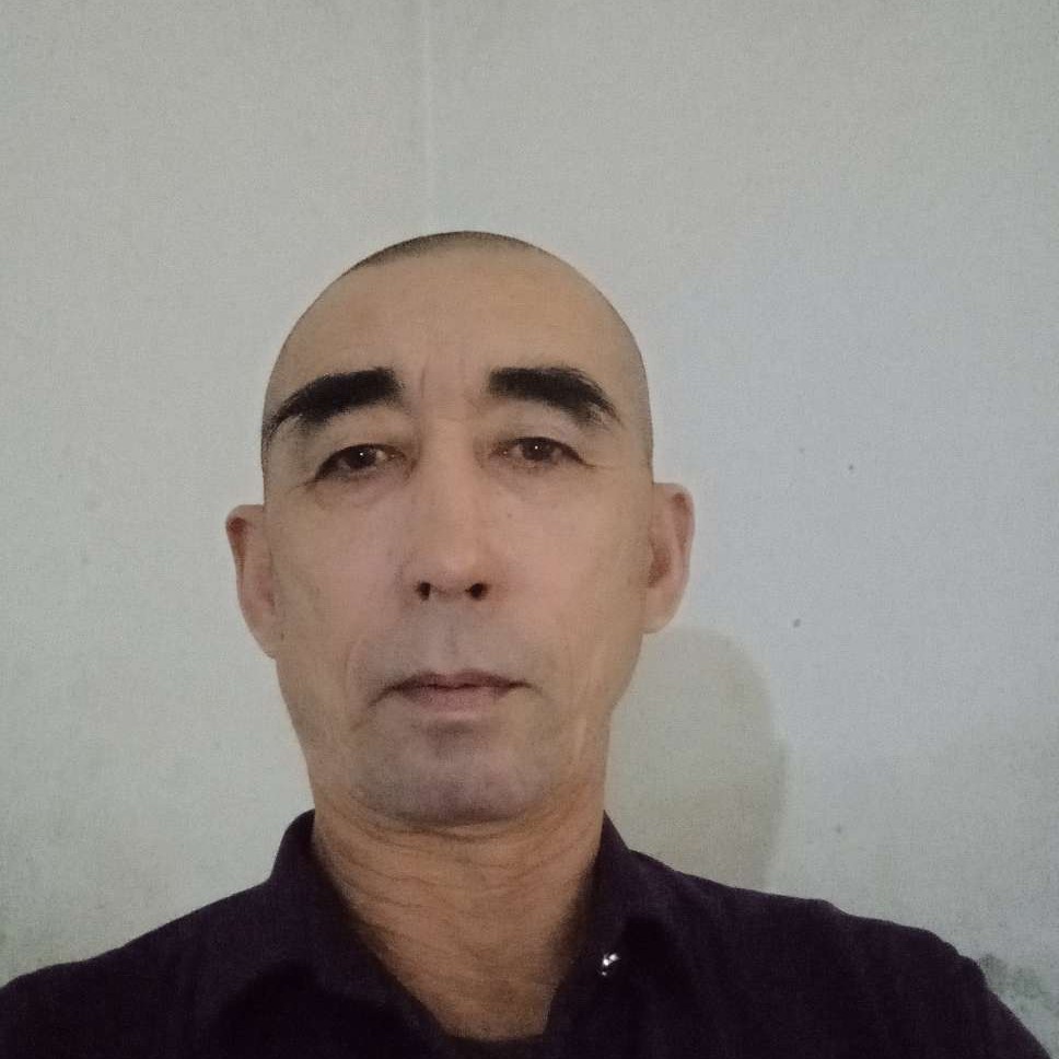航空向柔弱的照片