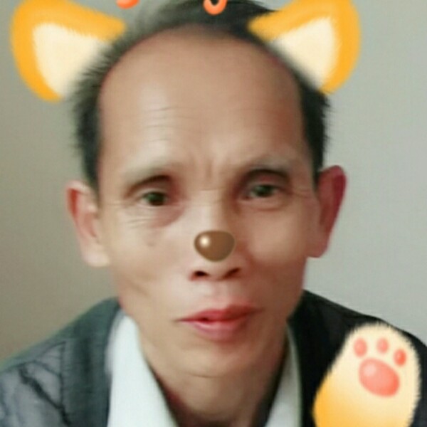 顺旺的照片