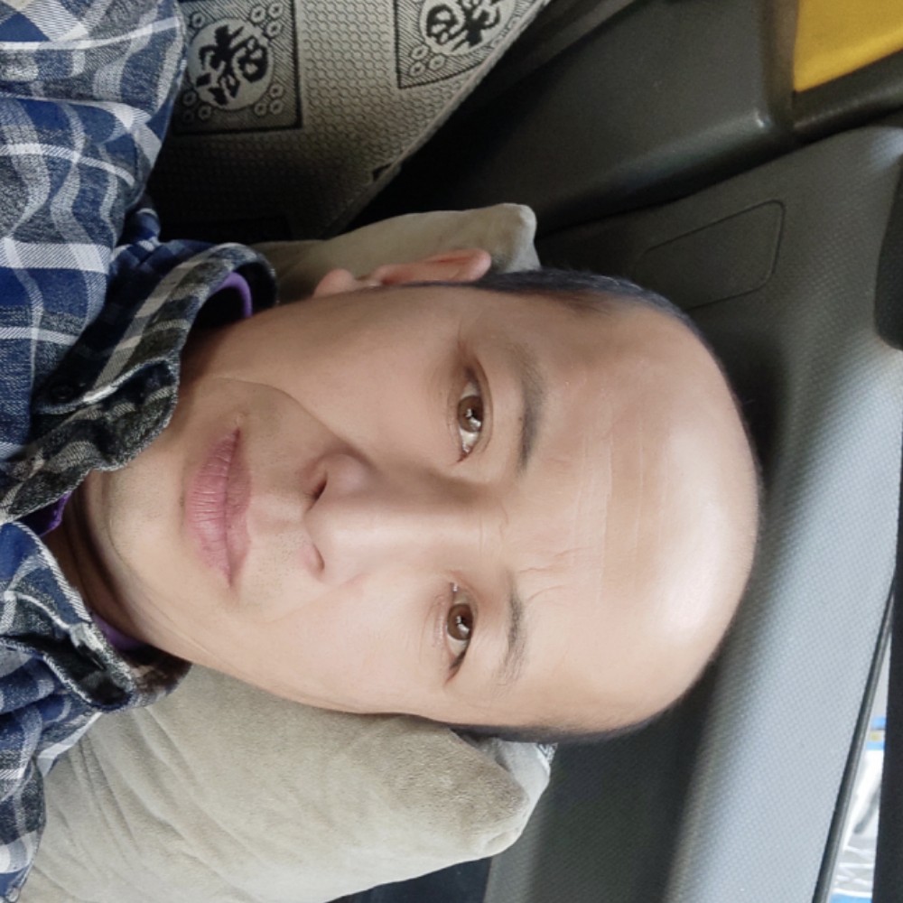 为什么流浪的照片