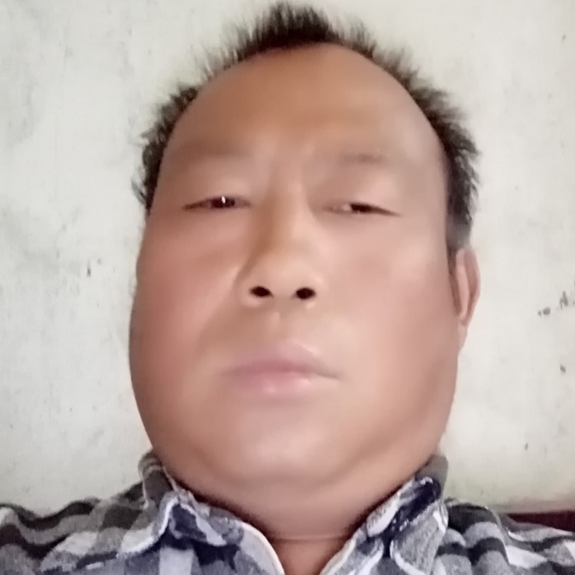 飞机还坚强的照片
