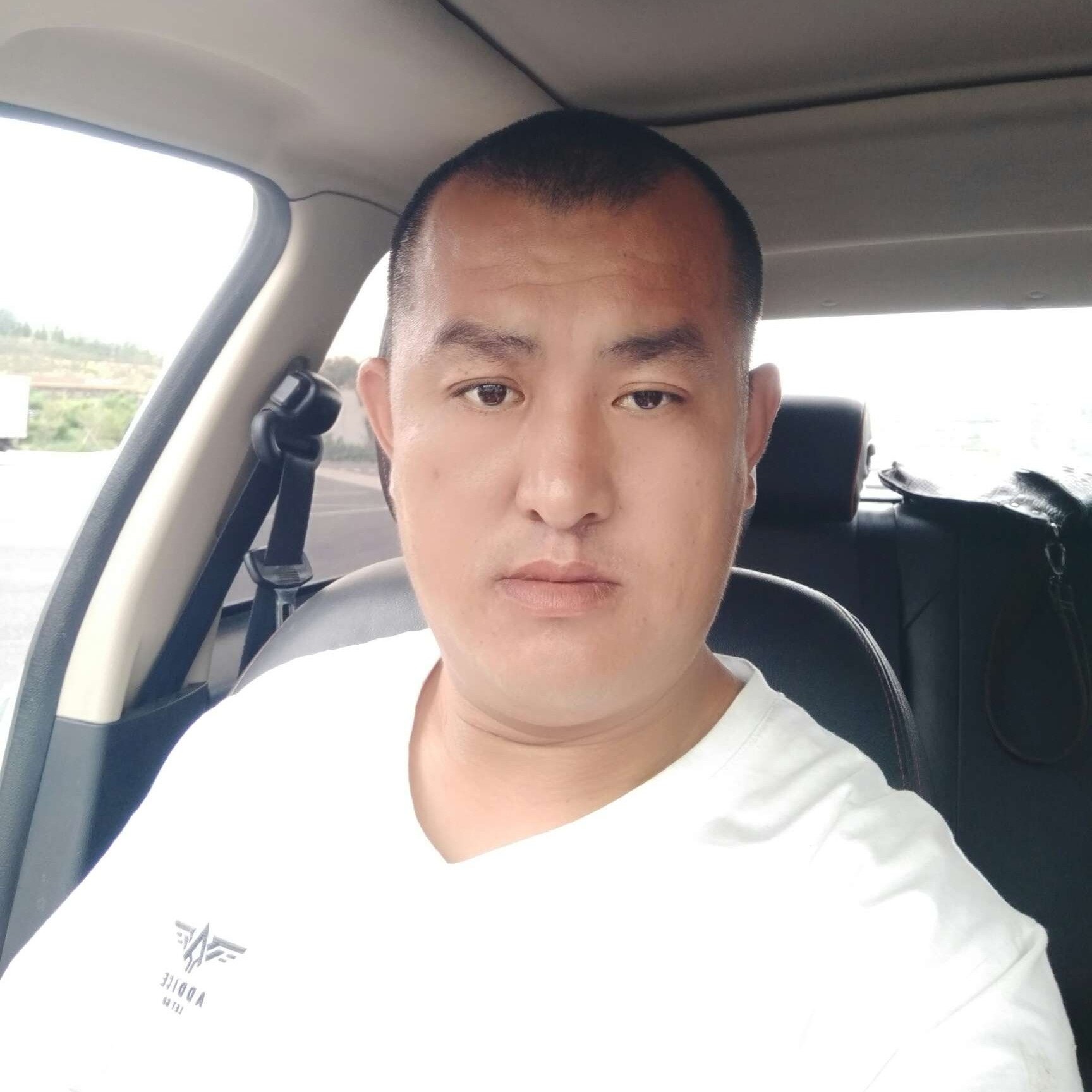 典雅回眸大地的照片