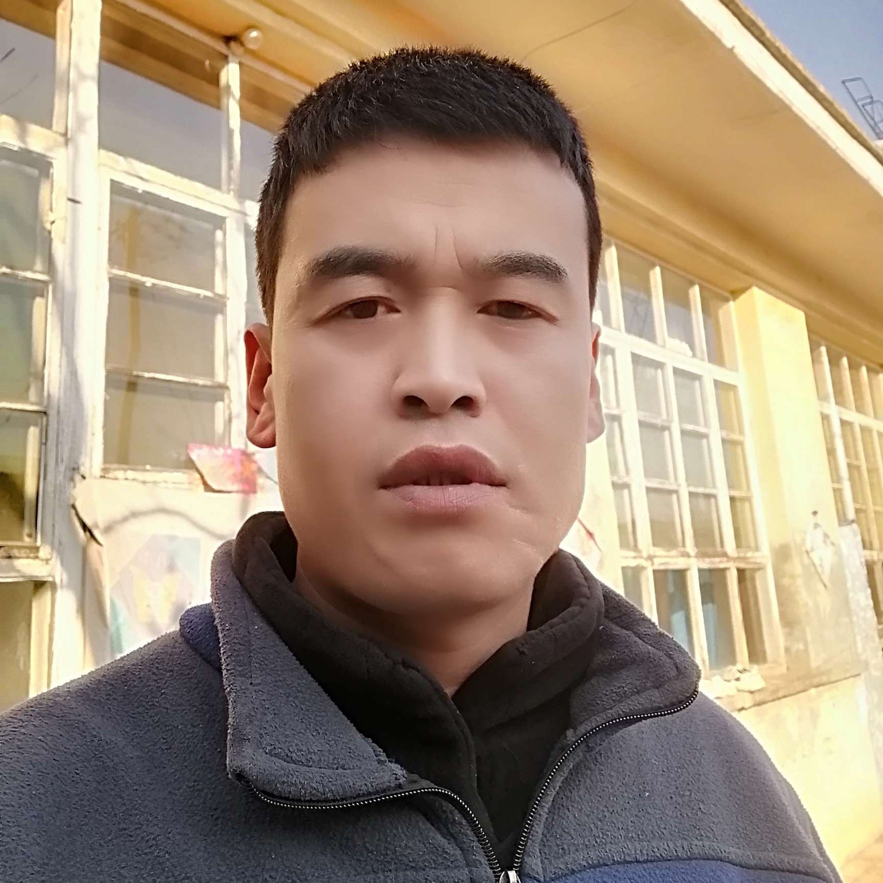 精明就大雁的照片