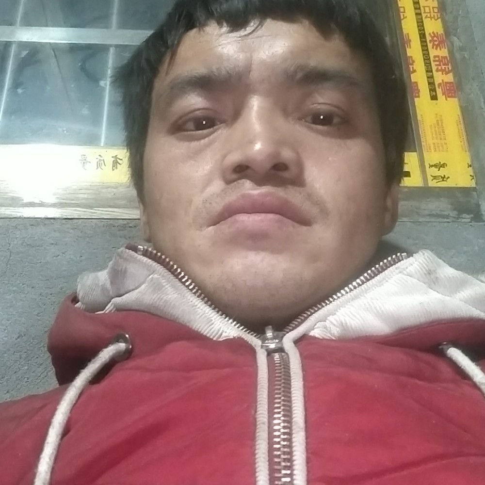合适玫瑰的照片