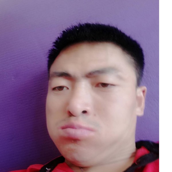 高泼的照片