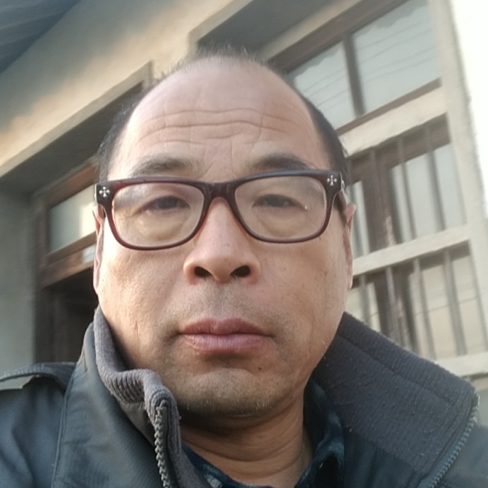 独立的刺猬的照片