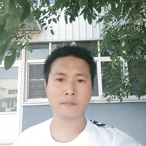翅膀停止最后的的照片