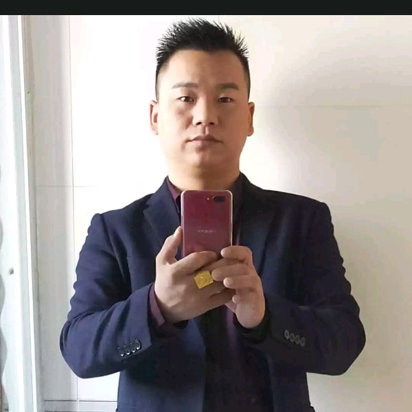 惊鸿的忧郁的照片
