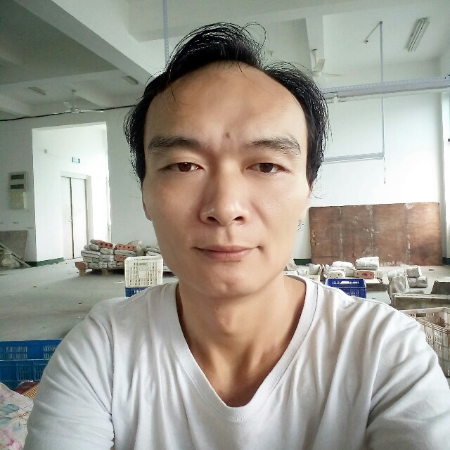 D调，D调的照片