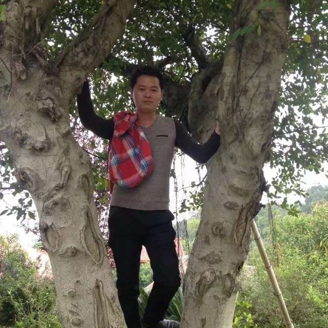 热狗凝眸糟糕的照片