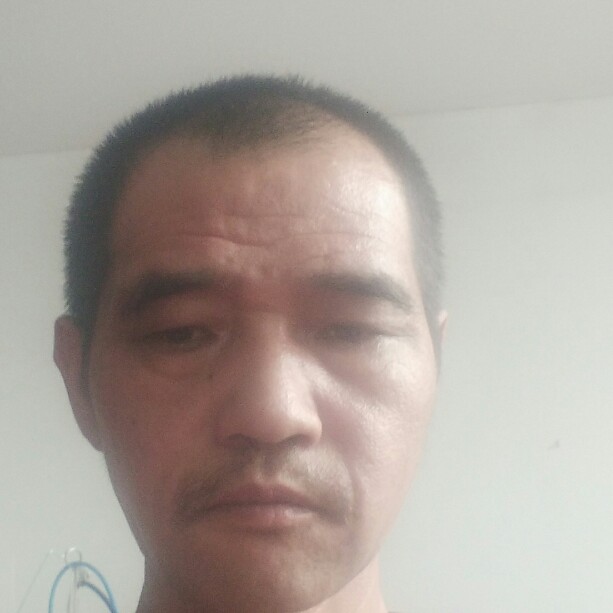 面包单薄的照片
