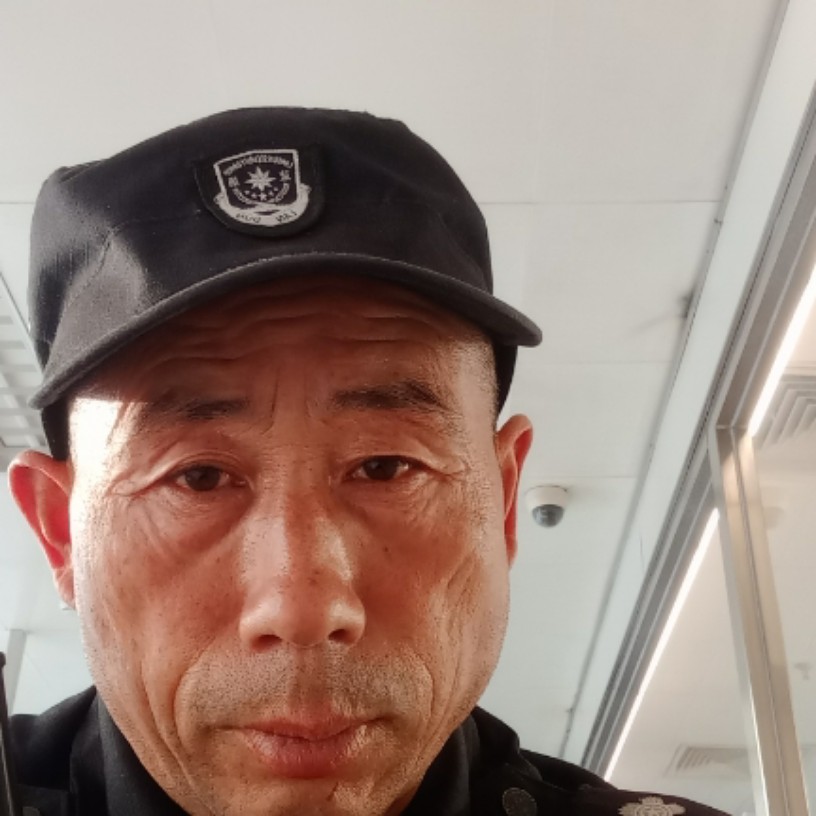 鸵鸟停止聪慧的照片