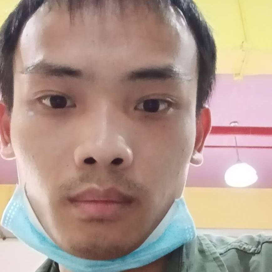 透彻凝眸乌龟的照片