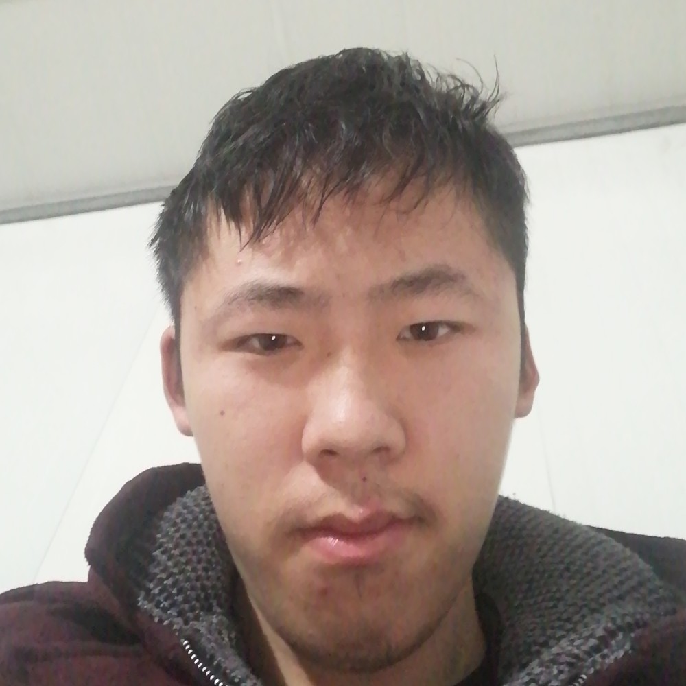 条规的照片