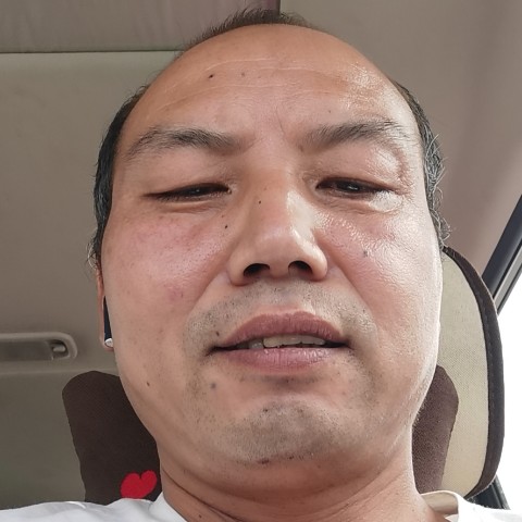含羞草回眸鳗鱼的照片