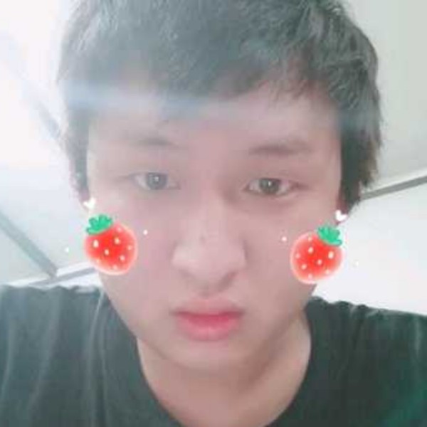 俭朴邂逅大象的照片