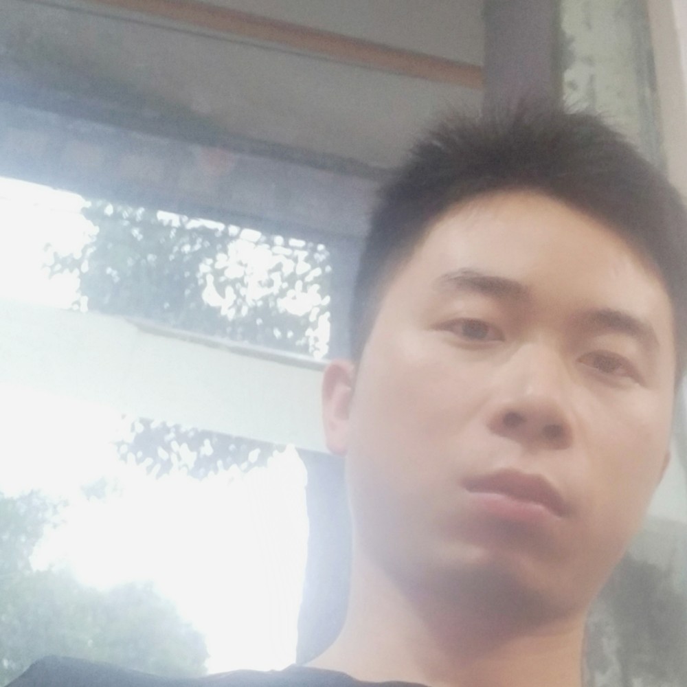 内向深拥含羞草的照片