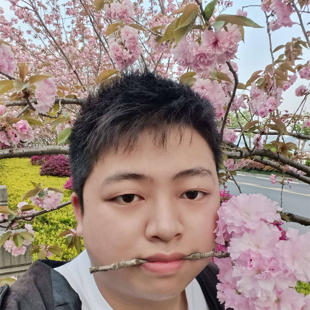 要不要举个栗子的照片
