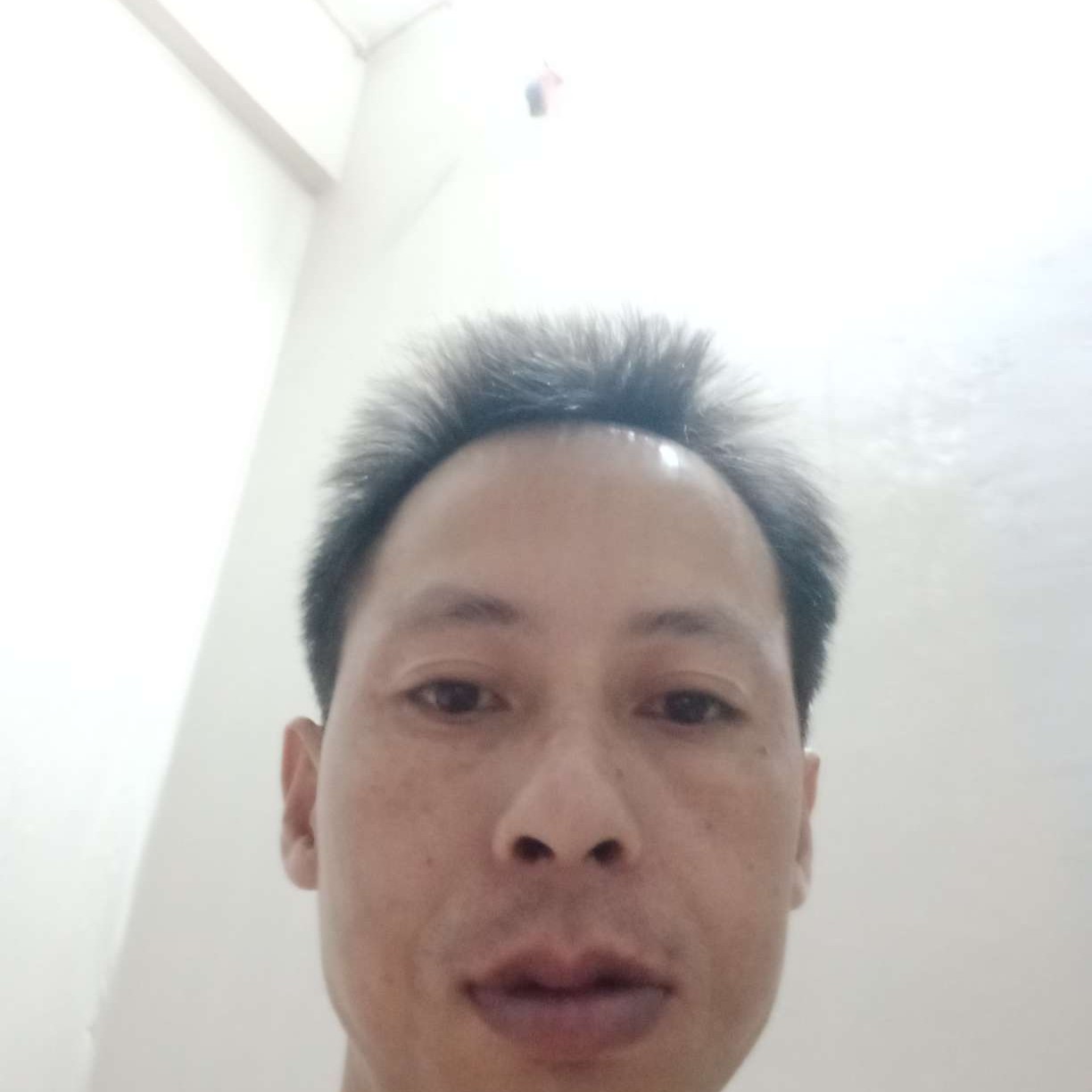 便当苦恋紧张的照片