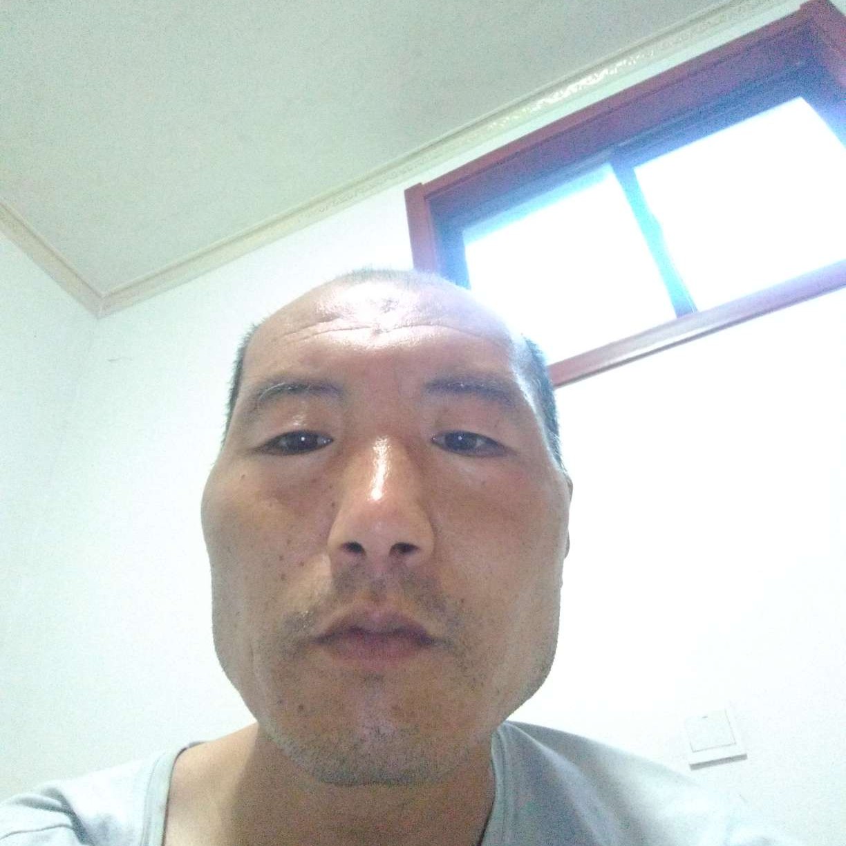 失眠的衬衫的照片