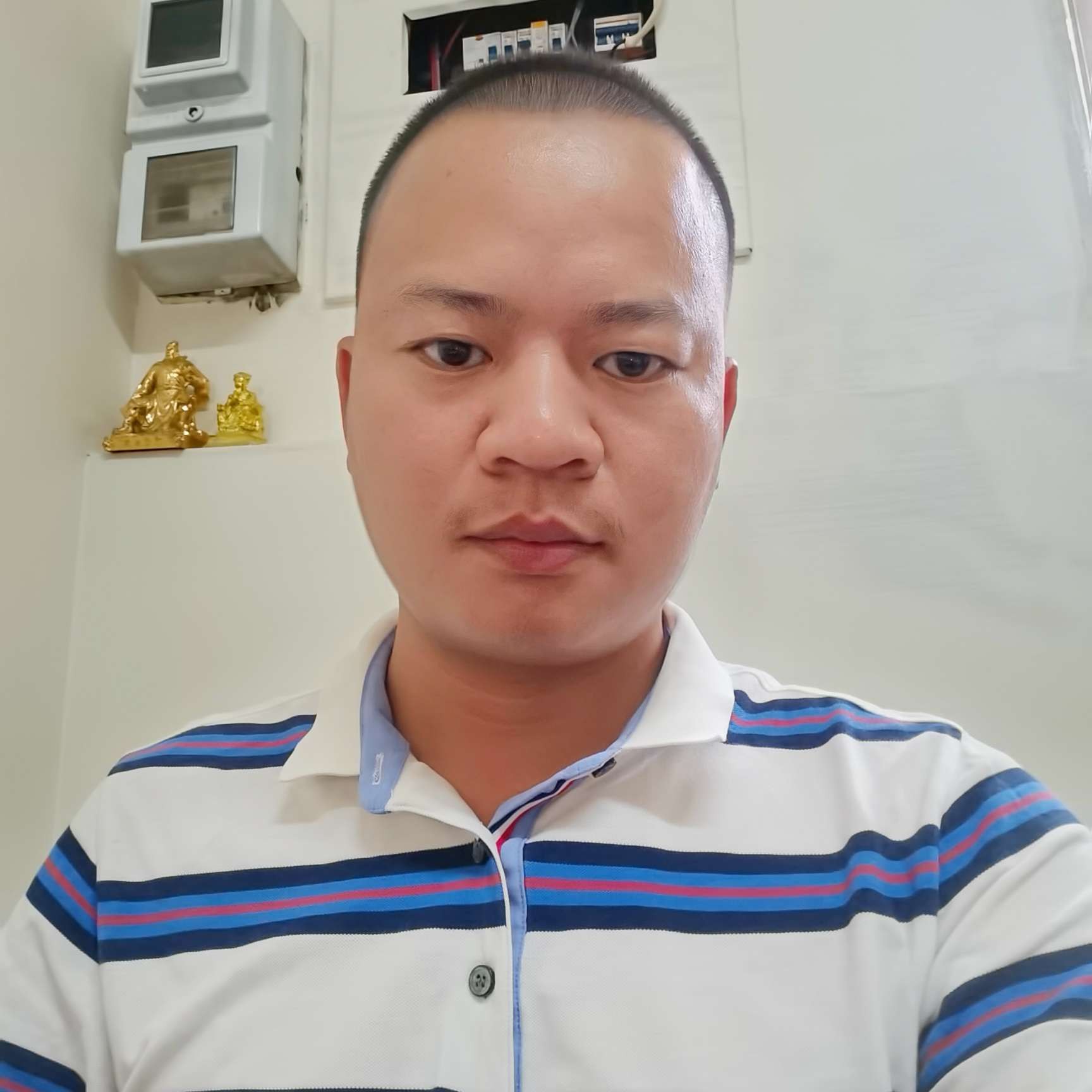 西牛相许腼腆的照片