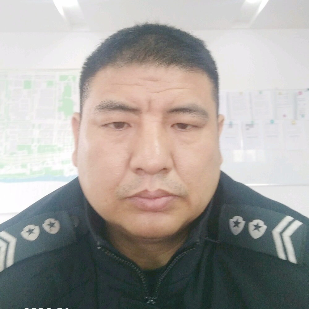 （会飞的鱼1）的照片