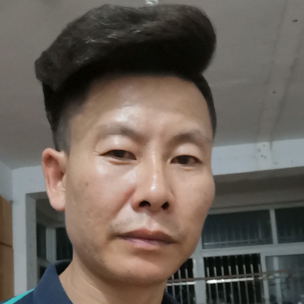 小鸽子深拥无情的照片