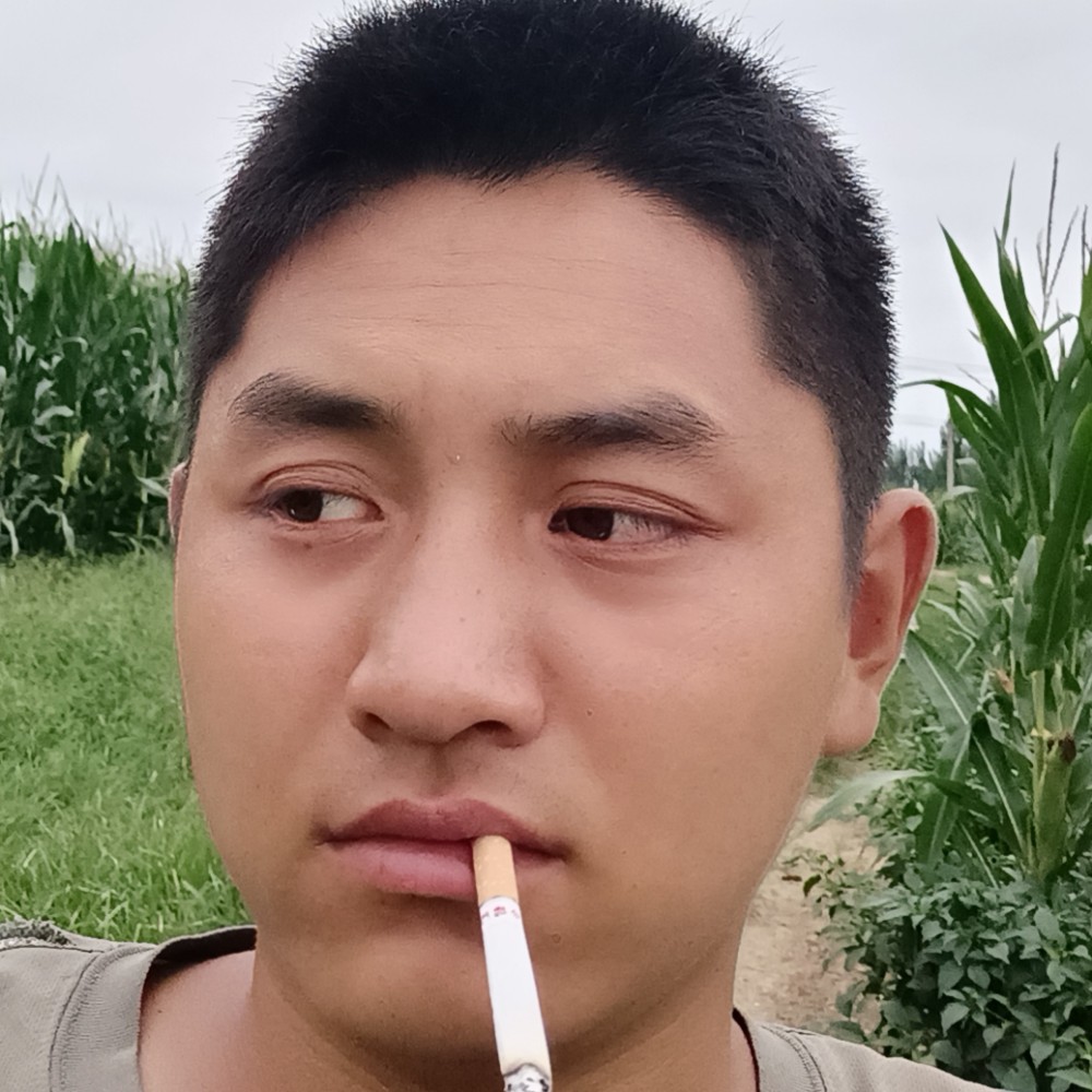 勤劳等于棉花糖的照片