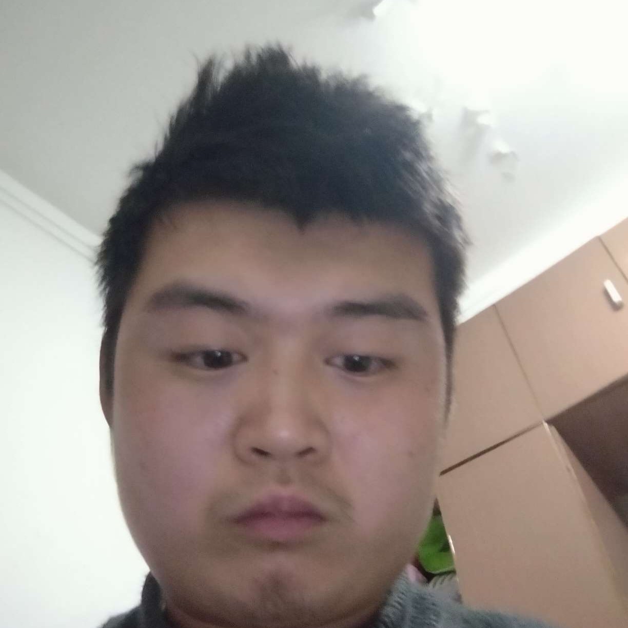 明亮闻酸奶的照片