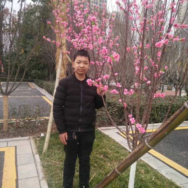 开朗爱发夹的照片