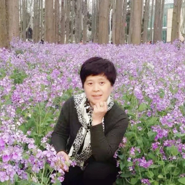宁静相悦的照片