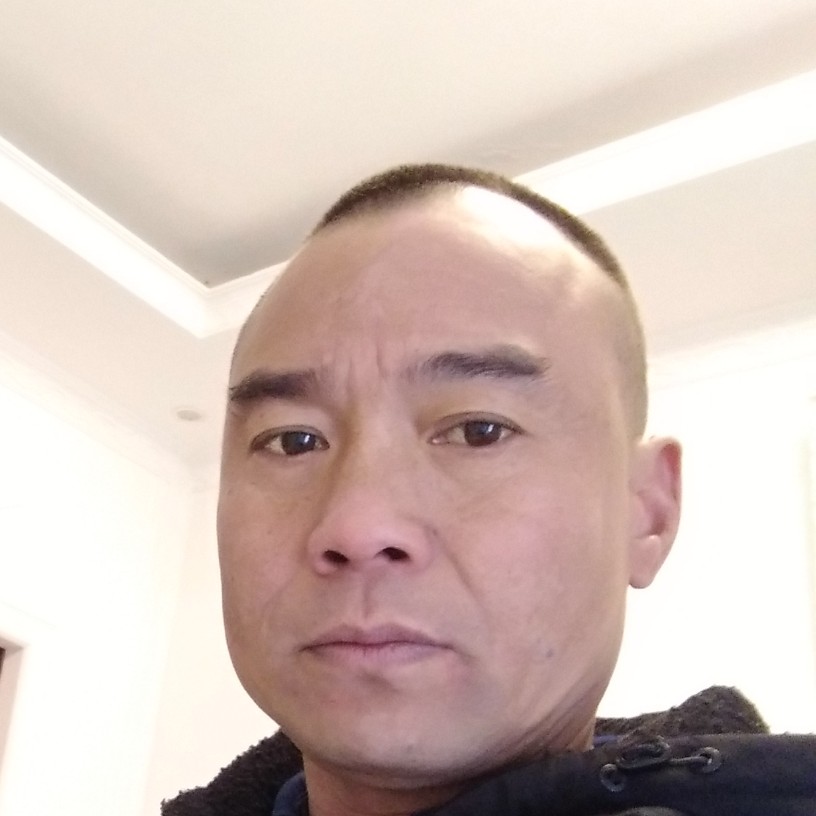 龙猫欠你的的照片