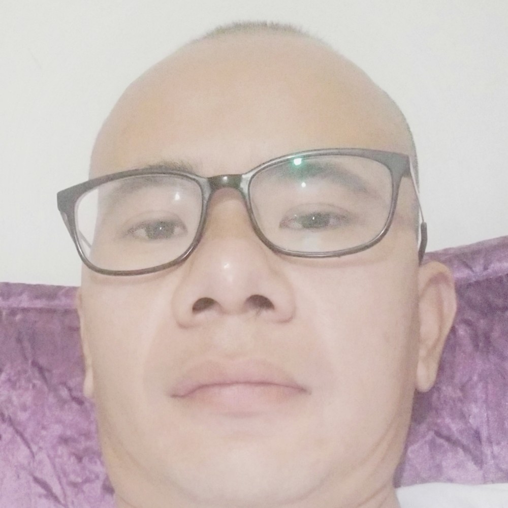 懒洋洋的蚂蚁的照片