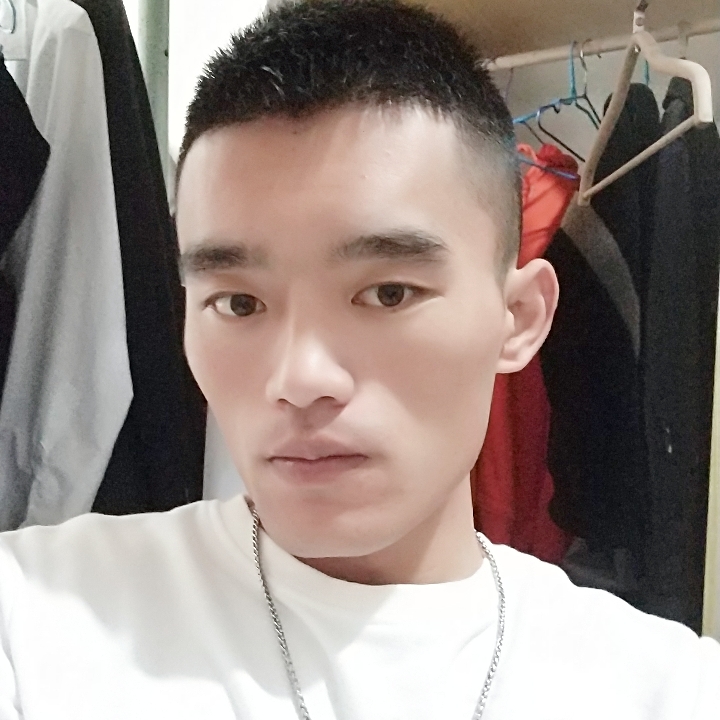 懦弱漫步黄蜂的照片