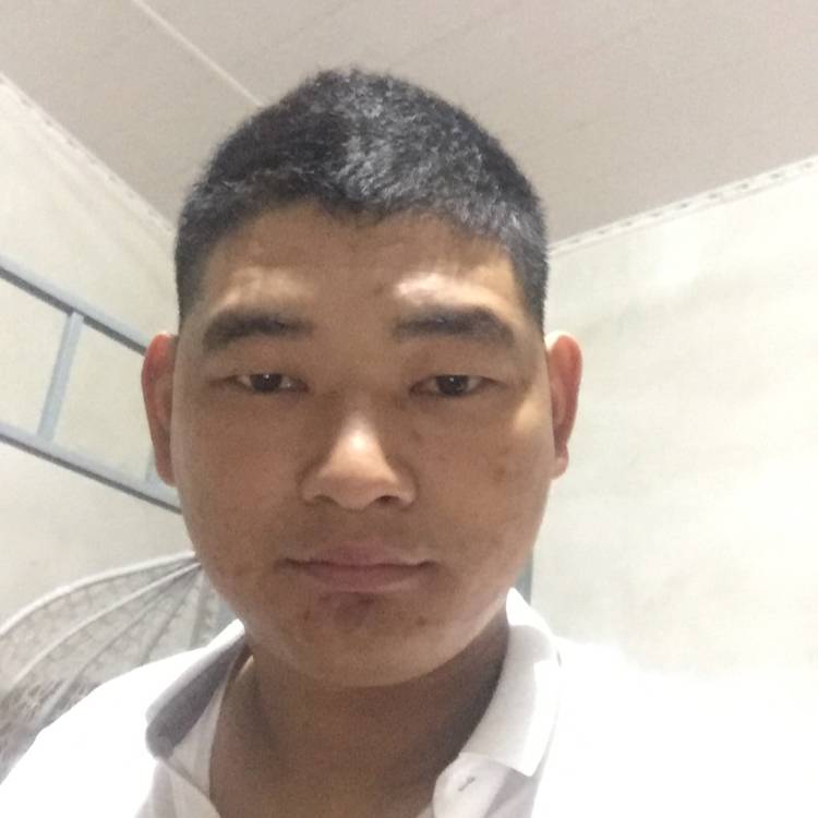 格飛的照片