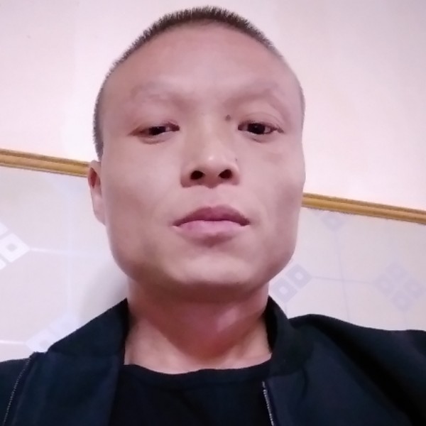 玫瑰幽默的照片