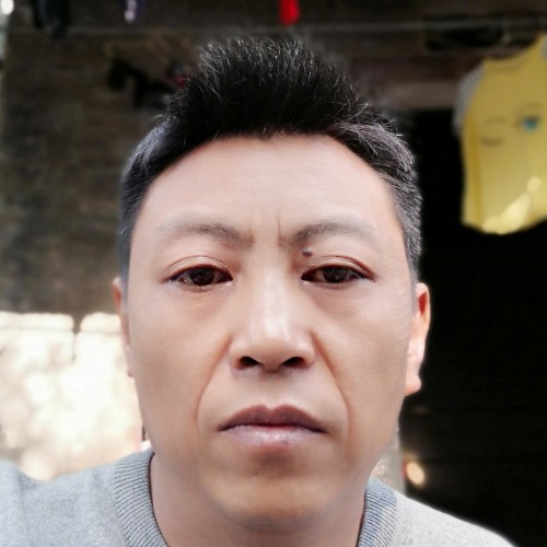 闪马的照片